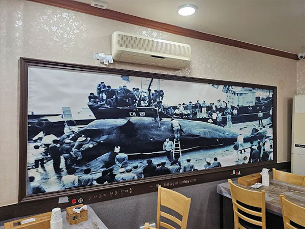 남구 고래고기 원조할매집 내부 인테리어