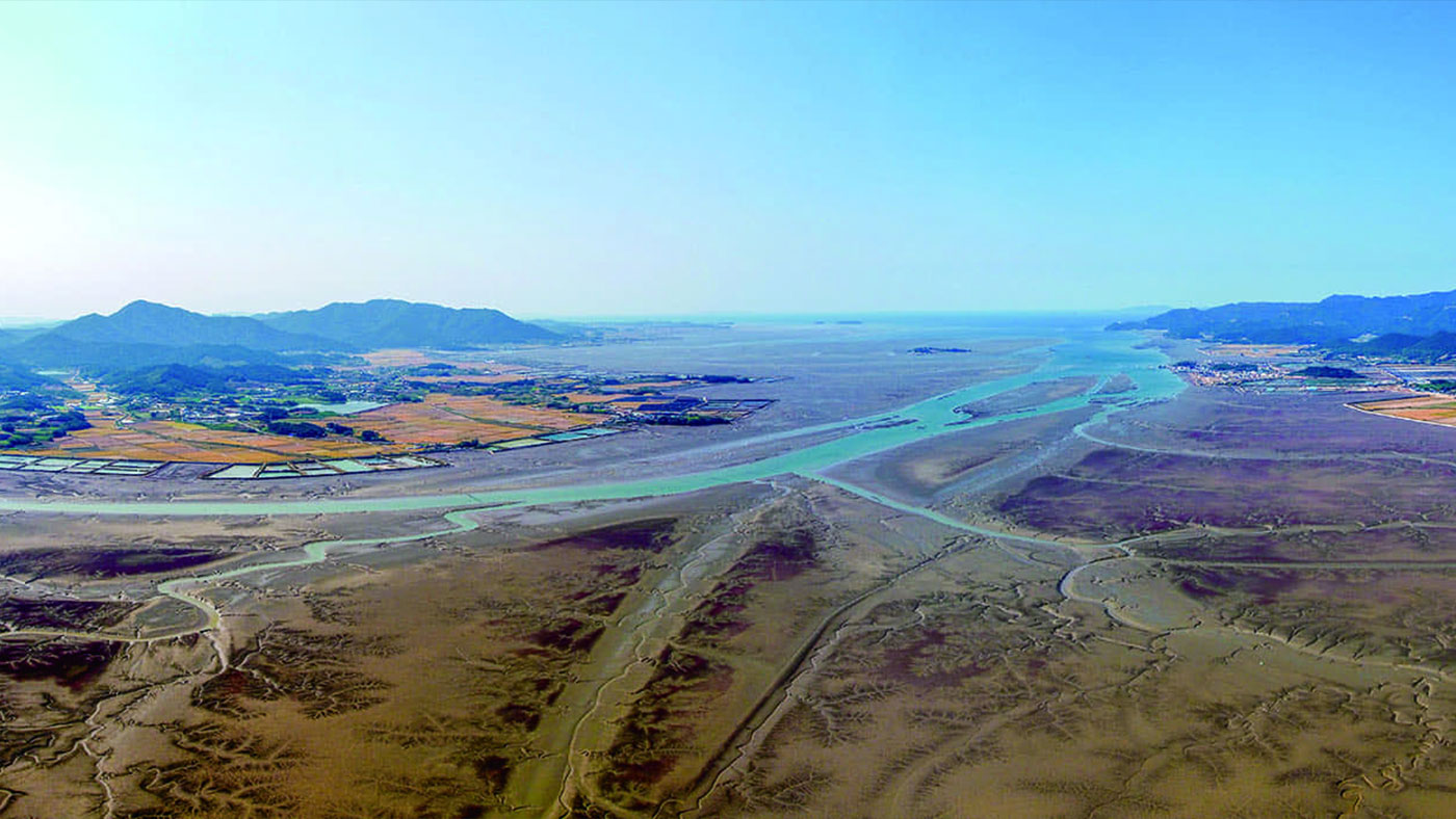 고창갯벌: 한국의 갯벌