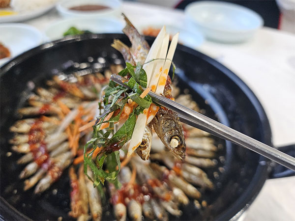 마달피가든 도리 뱅뱅이