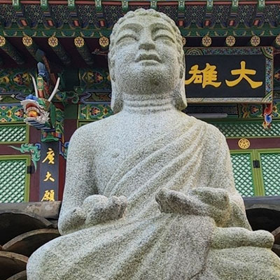 심택사: 백련산 백련(白蓮)의 정화와 마음의 해독