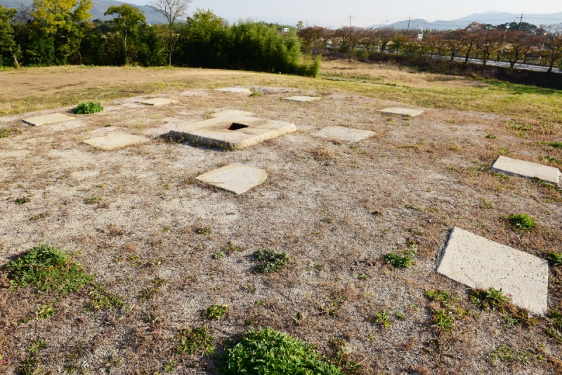 경주 사천왕사지 (慶州 四天王寺址)