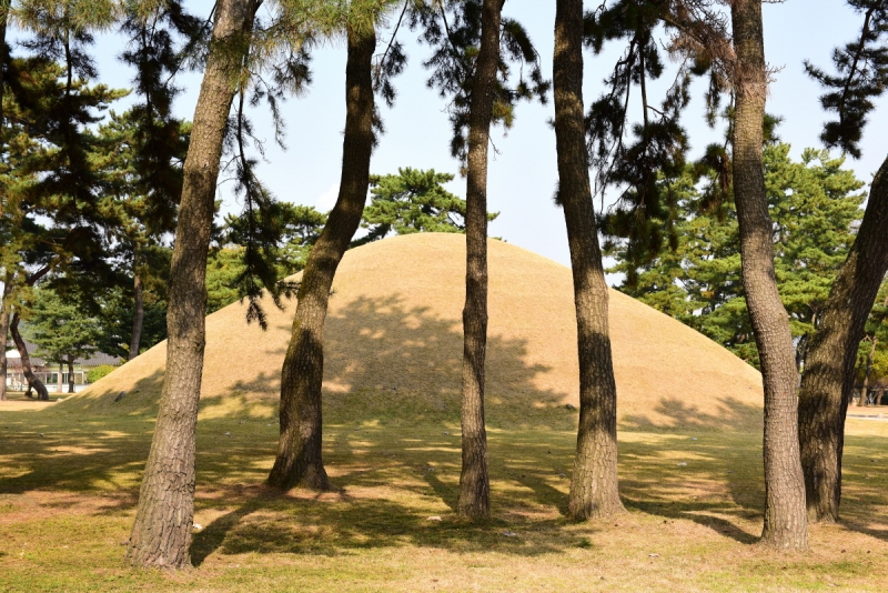 경주 무열왕릉 (慶州 武烈王陵)