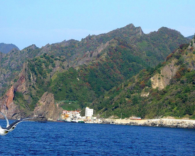 울릉 통구미 향나무 자생지 (鬱陵 通九味 향나무 自生地)