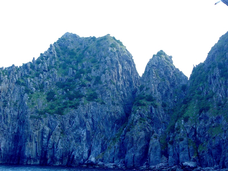 울릉 대풍감 향나무 자생지 (鬱陵 待風坎 향나무 自生地)